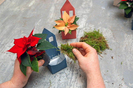 ��������� � ������� ������